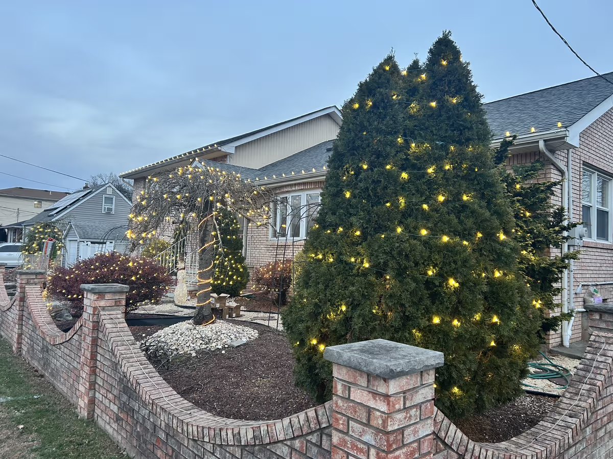 Trees holiday lights installation in New Jersey