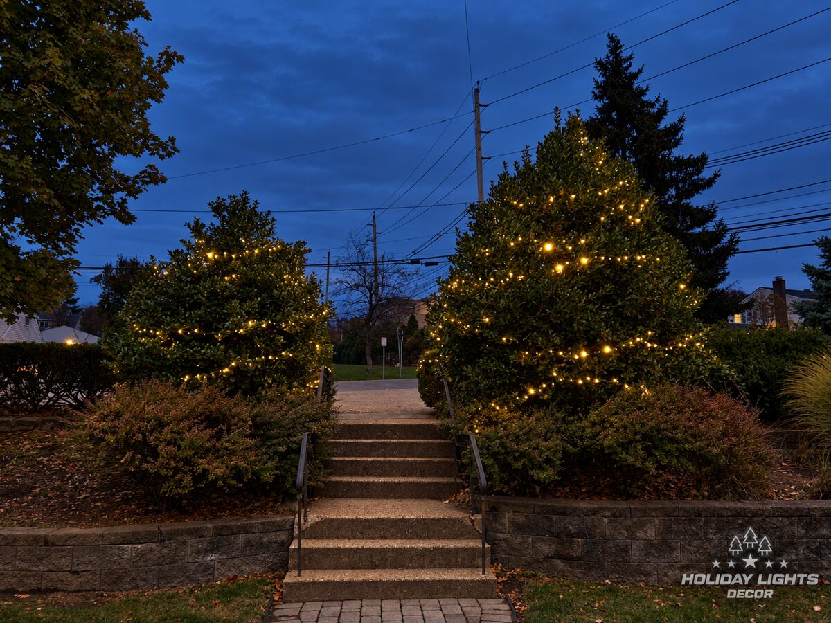 Two large evergreen shrubs wrapped in warm-white mini lights beside an outdoor stairway
