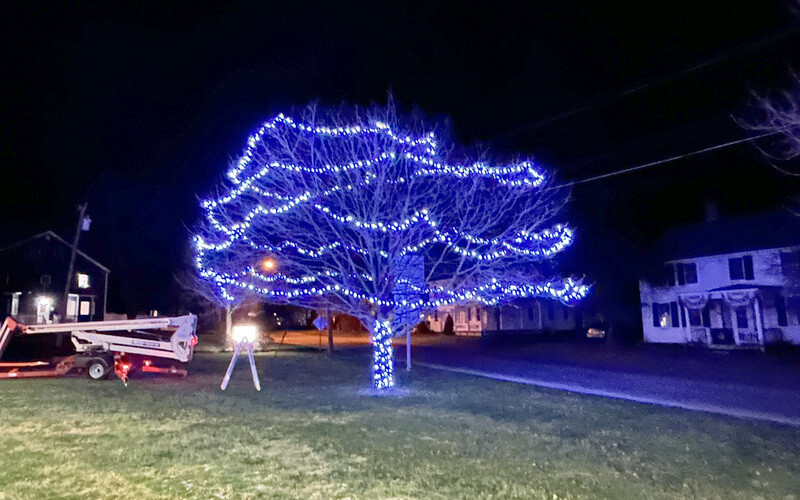Tree Lighting
