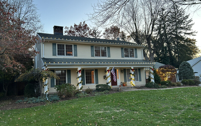 Christmas Greenery